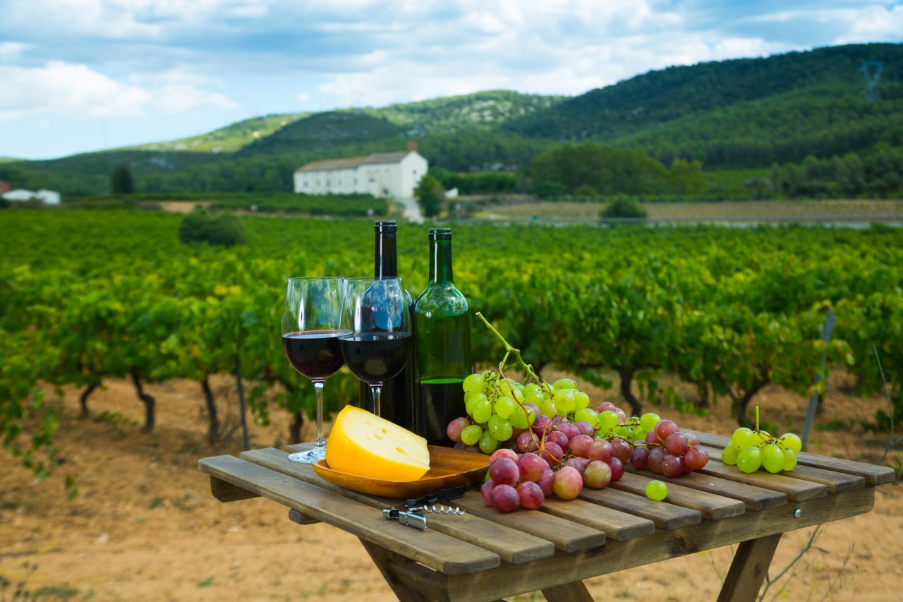 Shenandoah Valley Wineries California